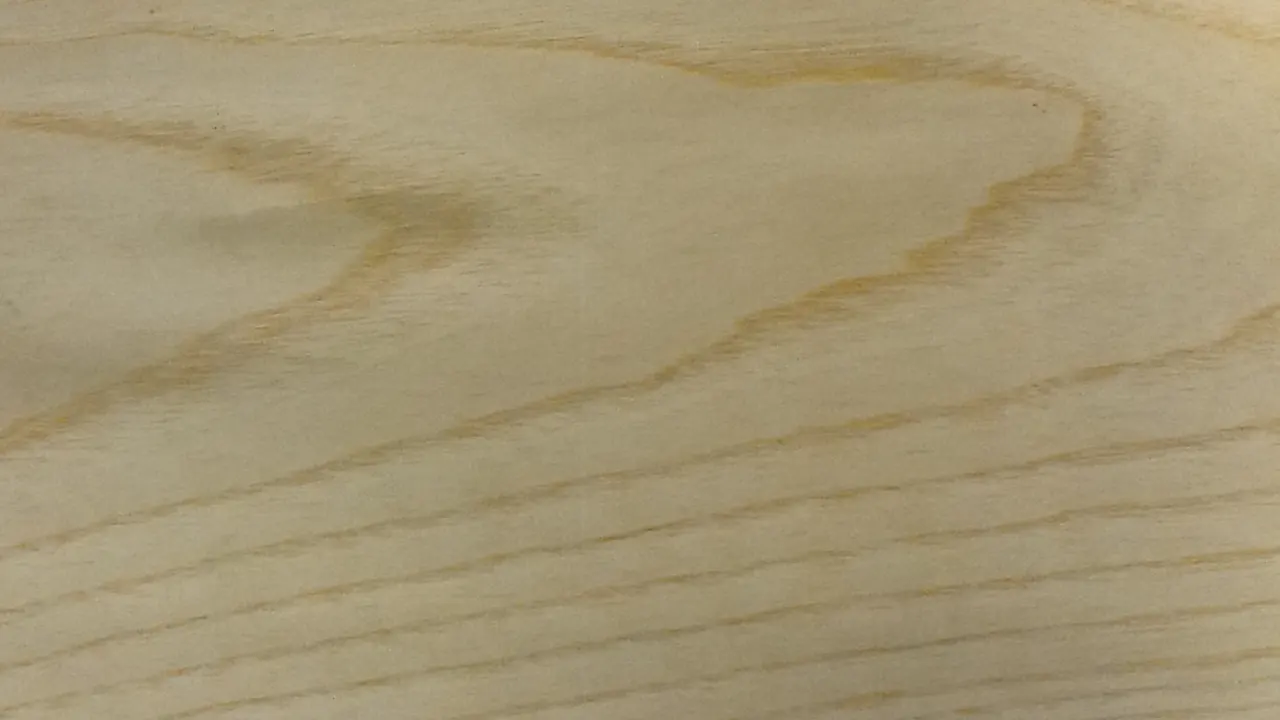 Ash (American White)